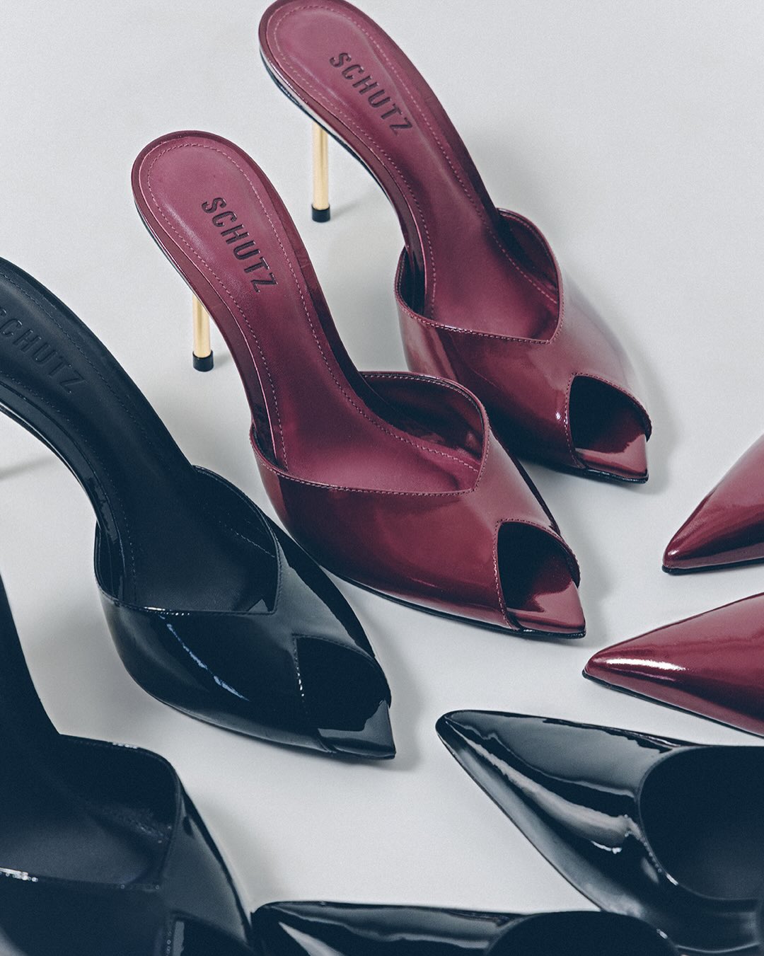 Featured Highlights 3